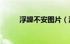 浮躁不安图片（浮躁不安的意思）
