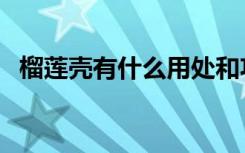 榴莲壳有什么用处和功效（榴莲壳怎么吃）