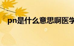 pn是什么意思啊医学上（pn是什么意思）