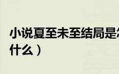 小说夏至未至结局是怎么样（夏至未至结局是什么）