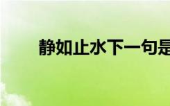 静如止水下一句是什么（静如止水）