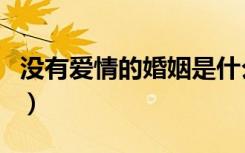 没有爱情的婚姻是什么样的（没有爱情的婚姻）