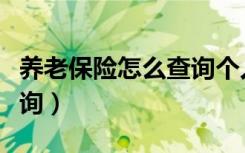 养老保险怎么查询个人缴费（养老保险怎么查询）