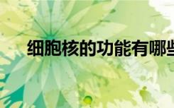 细胞核的功能有哪些?（细胞核的功能）