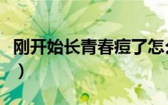 刚开始长青春痘了怎么办（长青春痘了怎么办）