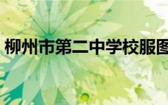 柳州市第二中学校服图片（柳州市第二中学）