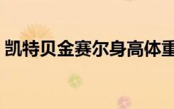 凯特贝金赛尔身高体重多少（凯特贝金赛尔）
