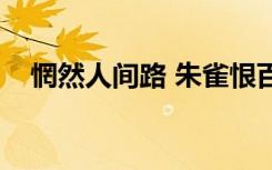 惘然人间路 朱雀恨百度云（惘然人间路）