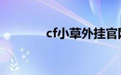 cf小草外挂官网（小草外挂）