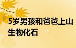 5岁男孩和爸爸上山“寻宝” 发现5亿年前古生物化石