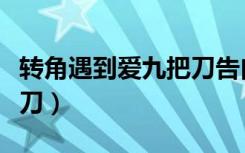 转角遇到爱九把刀告白视频（转角遇到爱九把刀）