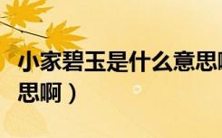 小家碧玉是什么意思啊家（小家碧玉是什么意思啊）