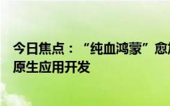 今日焦点：“纯血鸿蒙”愈加强大！石墨文档官宣完成鸿蒙原生应用开发