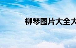 柳琴图片大全大图（柳琴图片）