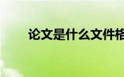 论文是什么文件格式（论文是什么）