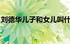 刘德华儿子和女儿叫什么名字（刘德华 儿子）