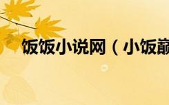 饭饭小说网（小饭巅峰之治是哪个漫画）