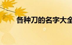 各种刀的名字大全（各种刀的名字）