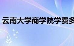 云南大学商学院学费多少（云南大学商学院）