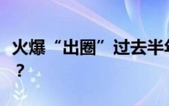 火爆“出圈”过去半年多，淄博烧烤现状如何？