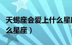 天蝎座会爱上什么星座的人（天蝎座会爱上什么星座）