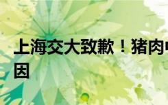 上海交大致歉！猪肉中出现针头可能有三种原因