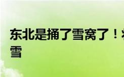 东北是捅了雪窝了！将迎今冬第五轮大范围雨雪