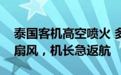 泰国客机高空喷火 多名乘客晕倒，空姐现场扇风，机长急返航