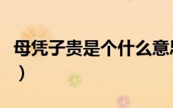 母凭子贵是个什么意思（母凭子贵是什么意思）