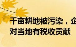 千亩耕地被污染，企业CEO微笑受访：我们对当地有税收贡献