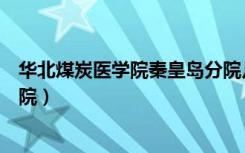 华北煤炭医学院秦皇岛分院几本（华北煤炭医学院秦皇岛分院）