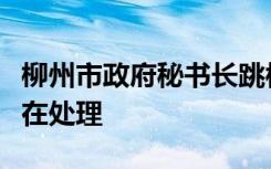 柳州市政府秘书长跳楼？当地辟谣：假的，正在处理