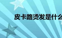 皮卡路烫发是什么意思（皮卡路烫）