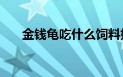 金钱龟吃什么饲料好（金钱龟吃什么）