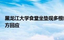 黑龙江大学食堂坐垫现多根细针，有学生担忧携带病毒，校方回应