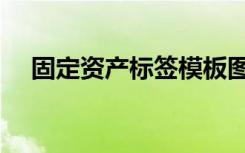 固定资产标签模板图片（固定资产标签）