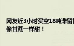 网友近3小时买空18吨滞留甘蔗，网友：虽遇苦果，但结局像甘蔗一样甜！