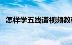 怎样学五线谱视频教程全集（学习五线谱）