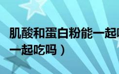 肌酸和蛋白粉能一起喝么（肌酸和蛋白粉可以一起吃吗）