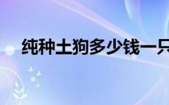 纯种土狗多少钱一只（土狗多少钱一只）
