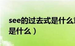 see的过去式是什么意思中文（see的过去式是什么）