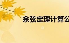 余弦定理计算公式（余玄定理）