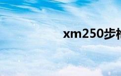 xm250步枪（xm25）