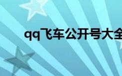 qq飞车公开号大全（qq飞车公开号）