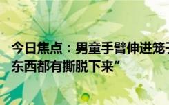 今日焦点：男童手臂伸进笼子被藏獒咬断 “神经、肌肉那些东西都有撕脱下来”