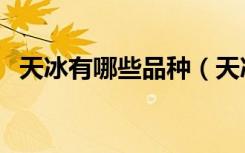 天冰有哪些品种（天冰大果哪里还能买到）