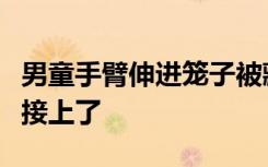 男童手臂伸进笼子被藏獒咬断，万幸医生为他接上了