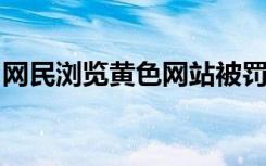 网民浏览黄色网站被罚朋友圈检讨？网警辟谣