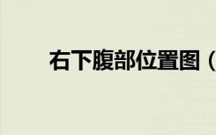 右下腹部位置图（右下腹的位置图）