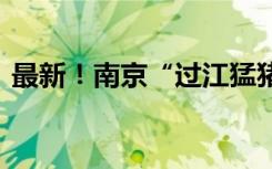 最新！南京“过江猛猪”呛水死了 现代快报